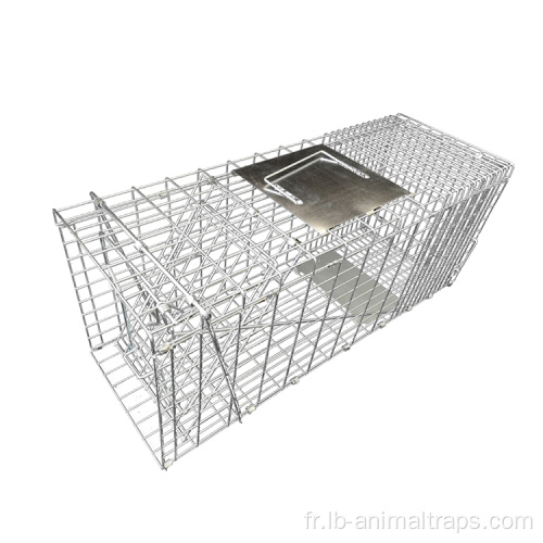 Trap à animal cage PVC Trap à cage vivant